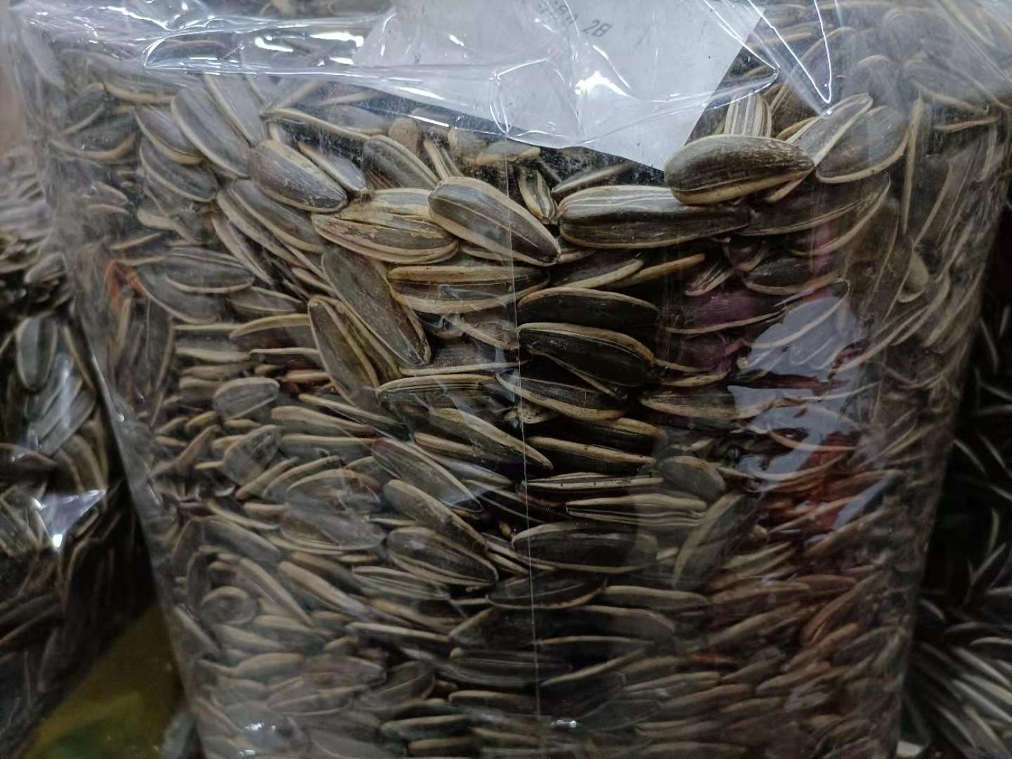 原味瓜子（炒）